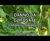 Viticoltura Riccardo Castaldi