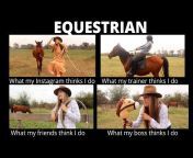 Gypsy Equestrian