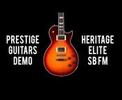 Prestige Guitars