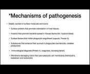 Dr. Paustian&#39;s Microbiology