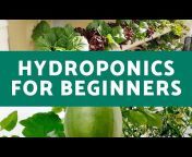 NT Hydroponics