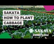 Sakata Seed Southern Africa