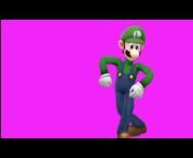 Same Video Of Luigi Everyday
