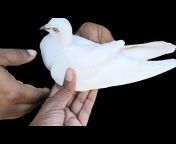 Arun Josehp Haryana pigeon 🕊️ farm