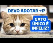 Catiofeli - Consultoria Comportamental Felina