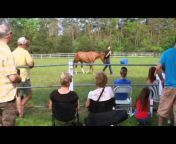 Jordan Brasser Horsemanship