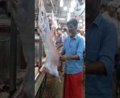 Chandpur News u0026 Fresh Fish