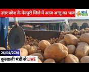 India Potato Hindi