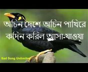 bangla channel shahin love