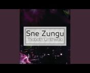 Sné Zungu - Topic