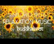 Buddhabrot - Relaxing Music u0026 Meditation
