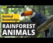 animal fun facts