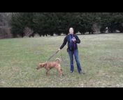 Indigo Dog Training