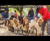 KGF Kumar Goat Farm