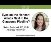 Glaucoma Research Foundation Videos