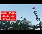 Smiley Telugu reviews