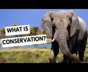 Conservation Chat UK