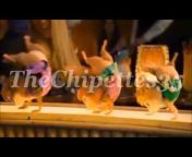 TheChipettes35