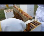 Lappe&#39;s Bee Supply