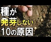 瀬戸内まいふぁーむ【自然農法チャンネル】