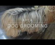 APEA Dog Grooming