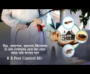 R B Pest Control BD