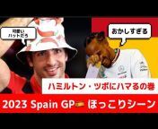 【F1動画】えふわんこ