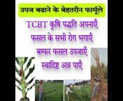 ताराचन्द बेलजी तकनीक~TCBT~पाठशाला Natural Farming
