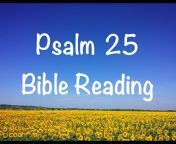 Bible Reading