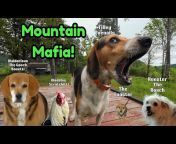 Ouachita Mountain Living (Formerly The Dogman)