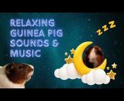 Guinea Pig Genius