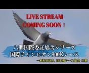 一般社団法人日本鳩レース協会(Japan Racing PigeonAssociation)