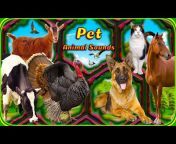 Animal linguistics