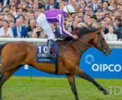 Magna Grecia is new to Coolmore Stud in 2020.