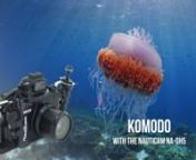 For this test we took the new Nauticam NA-GH5 to Komodo in Indonesia.Komodo is a great test bed for gear as it has both stunning wide angle reefscapes, big animal action with resident manta rays, incredible macro and a variety of shooting conditions as it straddles the Indian and Pacific Oceans.