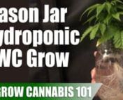 A time lapse video and guide of a Blueberry strain grow from clone to harvest, grown in a mason jar water culture hydroponic setup enclosed in a 3&#39;x3&#39;x6&#39; grow tent. Like the content? Then check out our books on Amazon at https://amzn.to/2JMmcezn nItems I Used For This Grow:nn3&#39;x3&#39;x6&#39; Grow Tent: amzn.to/2VgQyu2nQuiet 4&#39; Inline Fan: amzn.to/2VhkNktnLED Grow Light (Fills a 3&#39;x3&#39;x6&#39; Tent): amzn.to/2AiWZUjnGrow Fertilizer: https://amzn.to/2KElQ9DnBloom Fertilizer: https://amzn.to/2GZN0Xkn16 Ounce Mas