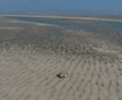 Le Hourdel-marée basse-sortie nature-Baie de Somme-Cayeux-sur-MernFormat 3840x2160nProduction : Deux-ci, d&#39;eux-lànFilms, images et rushs. nPlus d&#39;infos : www.2ci2la.netnContact : 2ci2la@laposte.net