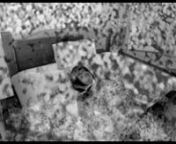 Adaptation of Márió Nemes Z&#39;s poetry book. Dadaist collage on the contemporary Hungarian collective subconscious. Second fragment. /// Nemes Z. Márió verseskötetének adaptációja. Második töredék.nnBarokk Femina - 60&#39;nnFelhasznált mozgóképek / Used footages:nn13 ghosts / 1956. október 23. percről percre (Magyar Nemzeti Digitális Archívum) / 2001: A Space Odyssey / 300 JEDI vs 80.000 ZOMBIES - Ultimate Epic Battle Simulator / A Conversation With George Soros at Davos 2017 / A Vid