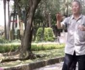 Tai Chi push-hands, in Chinese tuishou 推手, consists of circular movements performed by two players. It involves martial arts techniques derived from the various forms, but Tai Chi is an internal martial art, which means that the techniques relies on internal energy, chi or qi 氣, not solely strength of the muscles. The principles for developing and using the chi is described in the Tai Chi Classics.nSome important texts were written by members of the Chen, Yang, and Wu (武) families, but t