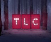 The Studio worked with Ceri Payne at Discovery on his latest christmas ident for TLC. The idea was simple and involved having Christmas lights hanging in a snow covered wood. nThe team created CG lights and some trees combined with digital matte projections of woods and snow covered forests to create the scene.nThe Studio had 5 days to complete the whole project. Merry Christmas!nnDirector - Ceri PaynenPost Production - TheStudio@smoke-mirrors.com