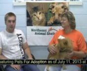 The Noth East Animal Shelter in Salem, Mass is a