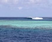 A 14 days surf trip in Maldives. This time I was with the Brazilians working as a photographer, and I manage to take some video clips as a bonus. Working on a boat in one of the beautiful places in the planet is just amazing. And the best thing is to surf uncrowded waves in the Southern atoll.nThank&#39;s to m/v Dolpin crew, Shahid of Blue K Safari Maldives,Mark Griffin, Shunsaku Watabe, Chard de Galicia.nand to my Brazilian client.