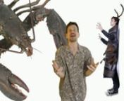 Recommended by Vsauce and Laughing Squid, this song is flooring people with incredible images and surprisingly good music production. Got to see this one to believe it...nnWhat&#39;s an arthropod? Lucas Miller, the