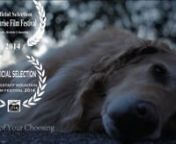 The life of a dog, in his own perspective. A metaphor for a life with disability. A short film in spoken word form by Miles Levin, Original score by Jackson Rosenfeld. nnContact: (twitter) @milesdlevinnnFilm Festival Screenings: nWINNER- Best Experimental Film, Good Dog Film Festival, Sydney, Australia 2016nWINNER- Best Picture, Cinenoma Film Festival 2016nWINNER- Audience Awards, Arizona Shorts Showcase 2015nMoonrise Flim Festival, British Columbia- August 2014nFlagstaff Film Festival, Arizona-