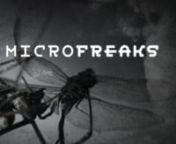 They are living incarnations of science fiction&#39;s most bizarre imaginings and if you&#39;re not running away screaming you&#39;ll find they&#39;re utterly fascinating. Join us in our new series &#39;Microfreaks&#39; as as we take an intimate look at the world&#39;s creepiest creatures through the eyes of a lens and technology&#39;s most sophisticated microscopic equipment. Who knows? You might find your horror changing to awe. #MicroFreaksnnFor more visit http://www.earthtouchnews.comnnEarth Touch on Google+ nhttp://goo.gl