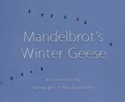 About This Film:nnMandelbrot’s Winter Geese, has been conceived as one part of a 14-part film tentatively titled Voices of Winter.I have borrowed the concept of mini-films within a larger umbrella piece from my favorite bio-pic documentary, 32 Short Films About Glenn Gould.Although Mandelbrot’s Winter Geese is my first fragmentary (fractal) offering of Voices of Winter, its ultimate position within the lineup of the 14 motion pictures will remain undetermined until all 14 segments are