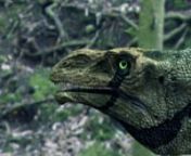 The world of the dinosaur is a tough and dangerous one. Ferocious carnivores hunt in packs, flying reptiles evade enemies, and an orphaned herbivore finds safety in numbers.nn30 minutesnFrom the series Dinosaur Revolutionn© Discovery Communications.