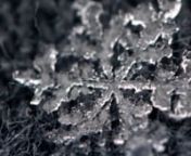 Have you ever wondered where a snowflake goes to die? Extreme macro video montage of snowflakes &#39;melting&#39;....capture with Canon t-2i using a reverse-mounted EF28mm/2.8 lens on an extension tube on March 2, 2013 in Huntsville, AL by Steven Seagraves, Jr.Music credit: Moby -