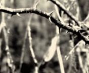 Music video from Scott Biram&#39;s 2009 Bloodshot Records release