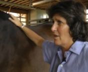 Instructional Videos with Jo-Ann WilsonnnRUN TIME FOR EACH VIDEO IS LISTED BELOW NEXT TO THE TITLE.nnThis is a series of 5 different videos each addressing specific and common problems in motion caused by simple muscle tightness.You too can eliminate the muscle tightness by joining Jo-Ann in the barn as she demonstrates where and how to use the scientifically proven Wilson Meagher Method of Sportsmassage Techniques to restore free motion and improve performance.Specific causes, exercises, an